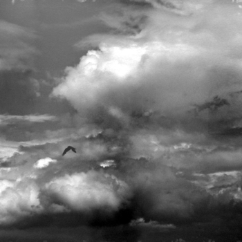 Balthasar Burkhard, Wolke mit Vogel, 2003 Balthasar Burkhard, Wolke mit Vogel, 2003