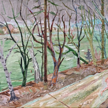Balz Baechi, Schütze am Rhein, 1995–2003 Balz Baechi, Schütze am Rhein, 1995–2003