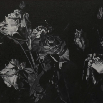 Pascal Danz, The Damned, 2014