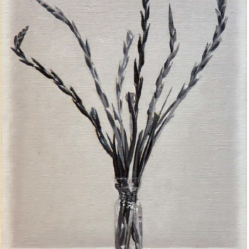 Pascal Danz, Brice Marden, 2014
