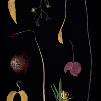 Luzia Simons, Blacklist 01, 2013