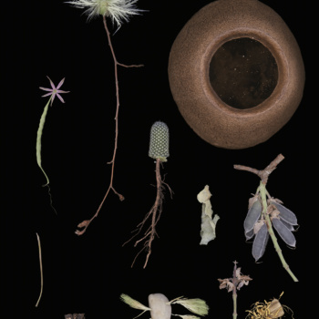 Luzia Simons, Blacklist 07, 2015