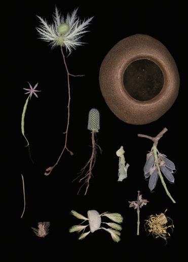 Luzia Simons, Blacklist 07, 2015
Scannogram
40 x 29 cm 
Edition of 6 + 1 AP
