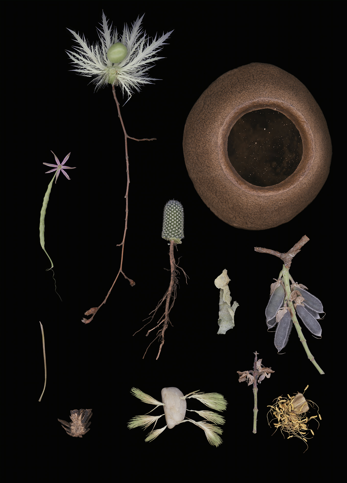 Luzia Simons, Blacklist 07, 2015
Scannogram
40 x 29 cm 
Edition of 6 + 1 AP