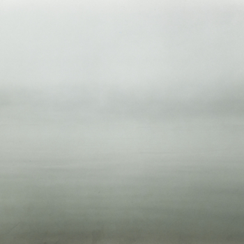 Sonja Braas, Week 5, 2010