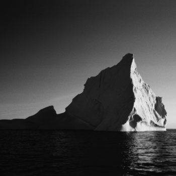 Carlos Crespo, Imperia II, from the series Polaris Platinum, 2008