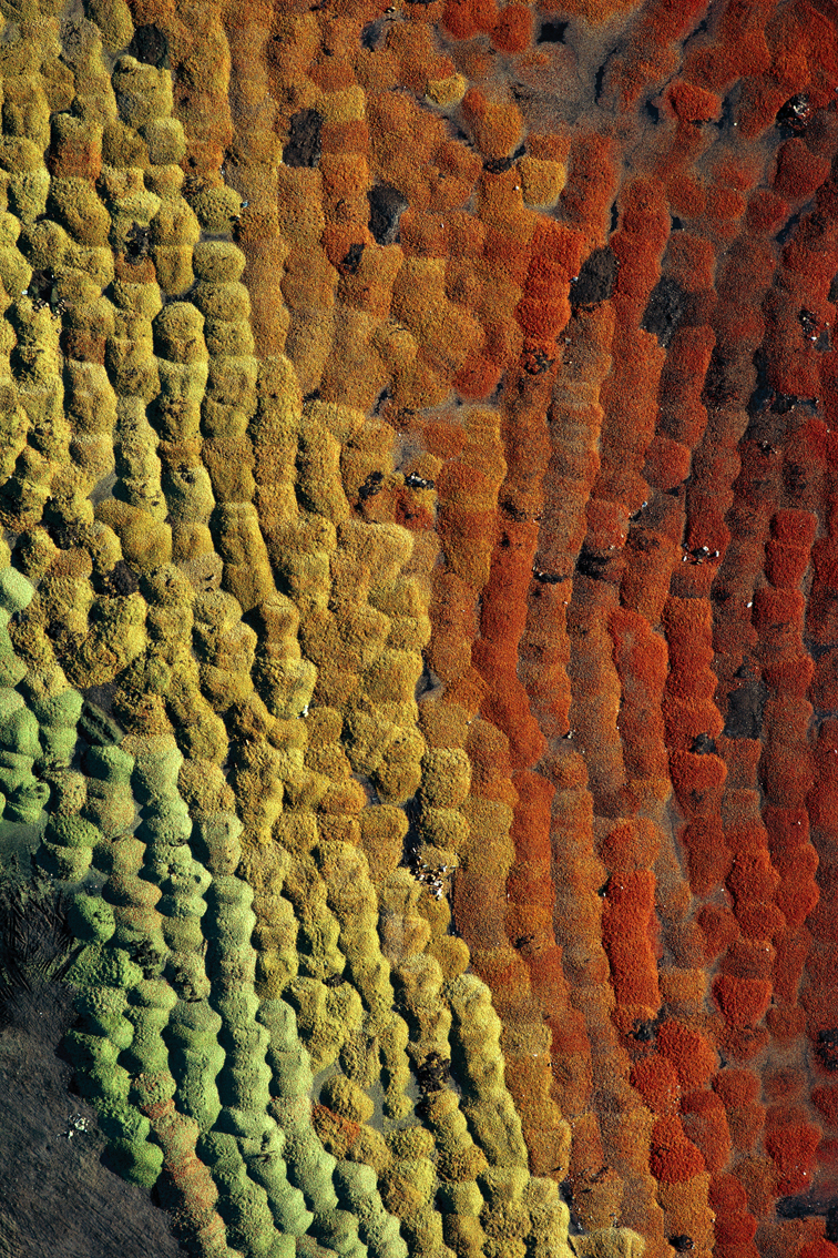 Georg Gerster, Culled fruit, USA, 1982
Inkjet printed with pigmented Epson Ultra Chrome K3, on Epson Exhibition Fiber Paper
150 x 100 cm
Edition of 8 + 2 AP