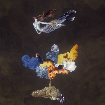 Deborah Kelly, Alkonost, 2017