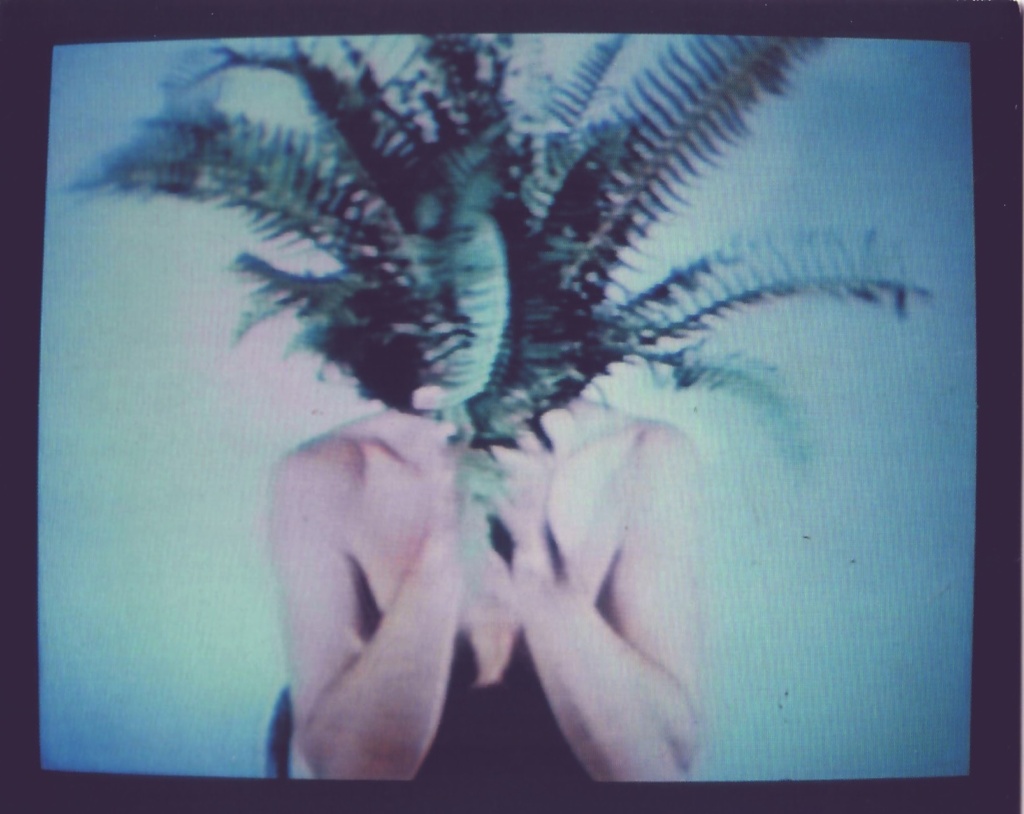 Dennis Oppenheim Film 1 Kopie
