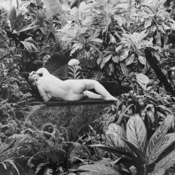Édouard Boubat, Hommage au Douanier Rousseau, Paris, 1980