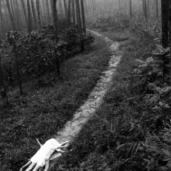 Juan Carlos Alom, Juegos en el Bosque, 1989