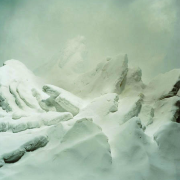 Sonja Braas, Forces #4, 2003