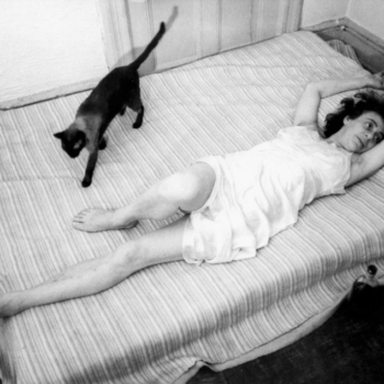 Jill Freedman, Untitled, from the series People and other Animals, 1971
