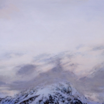 Leta Peer, Landschaft MF #147, 2009