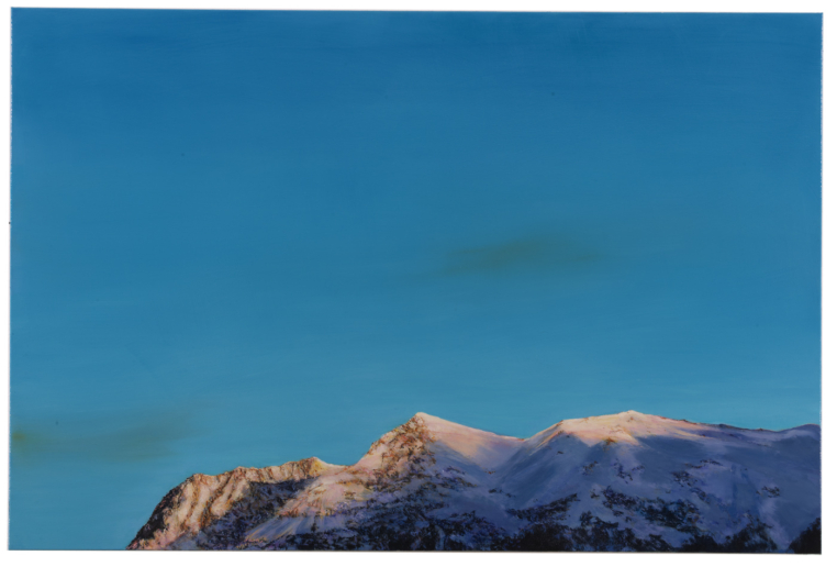 Leta Peer, GF166, 2010
Oil on canvas
120 x 180 cm 