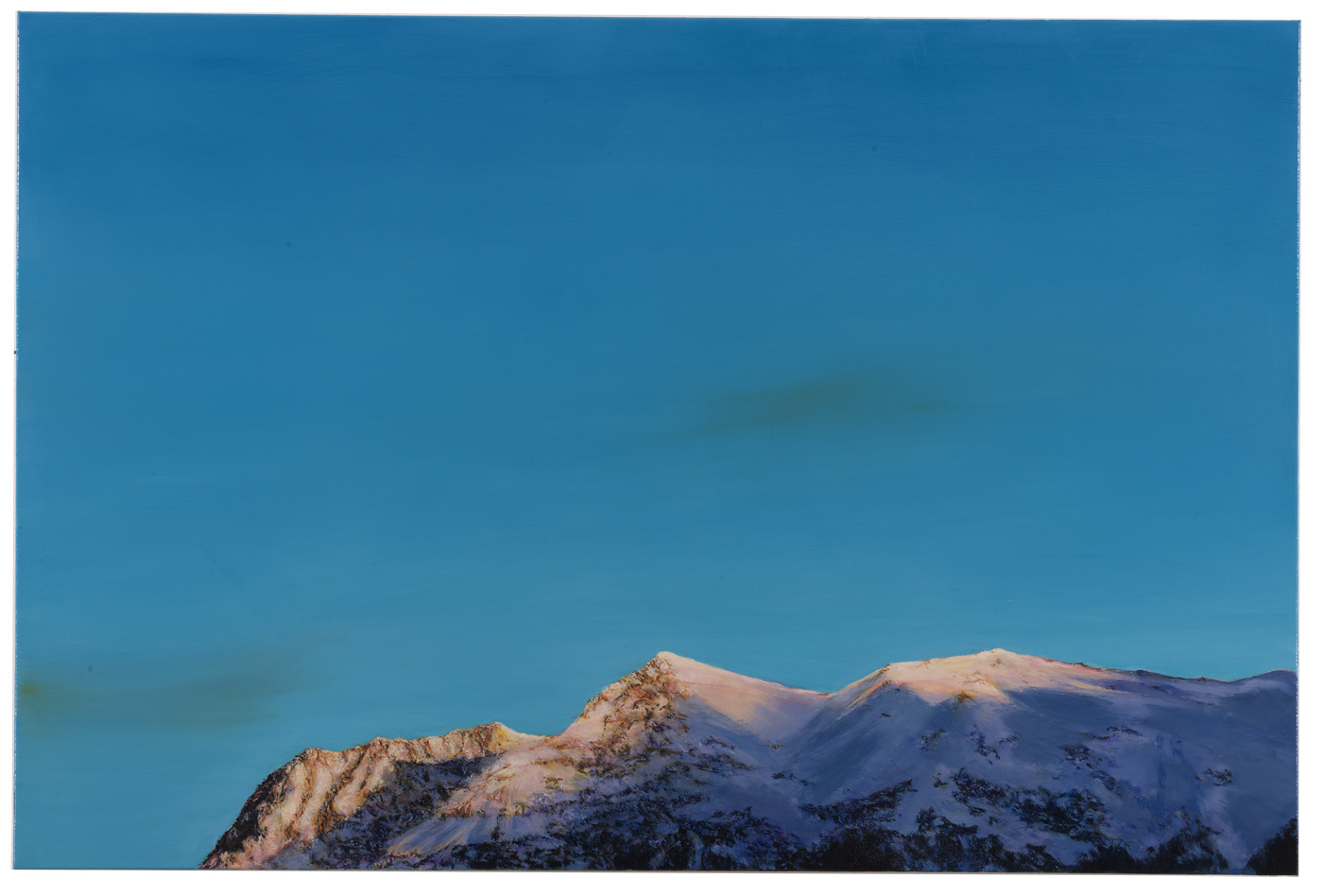Leta Peer, GF166, 2010
Oil on canvas
120 x 180 cm 