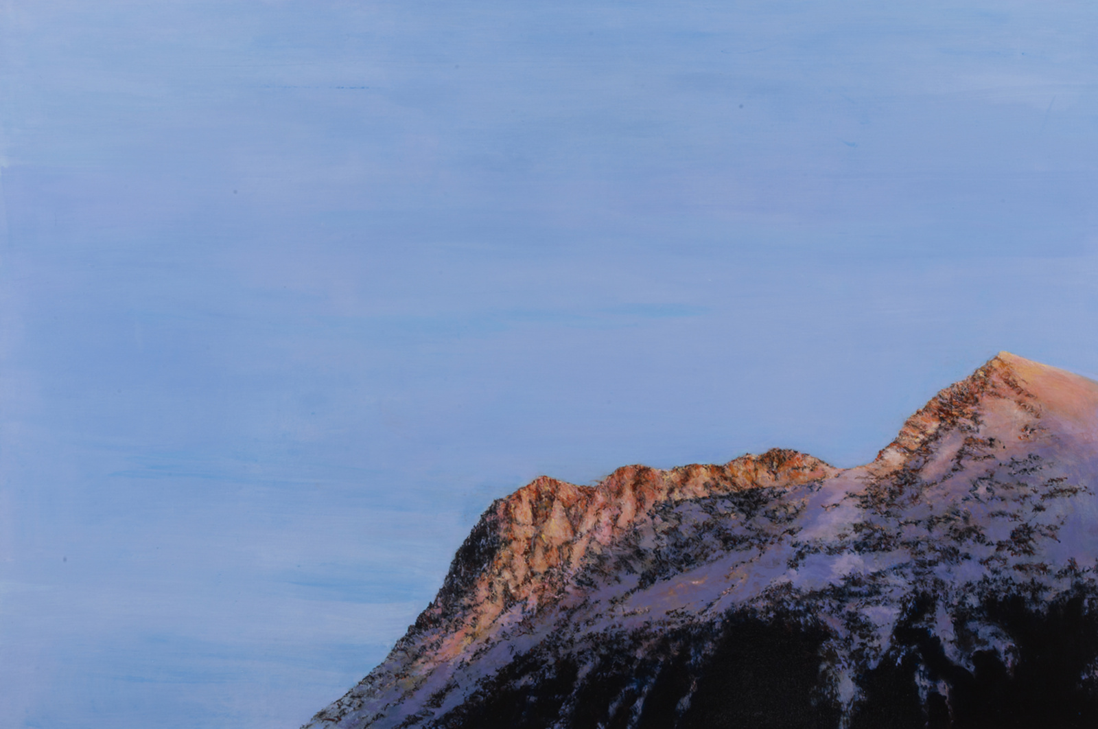 Leta Peer, GF167, 2011
Oil on canvas
120 x 180 cm