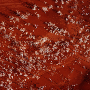 Georg Gerster, Gove, Australia, 1974