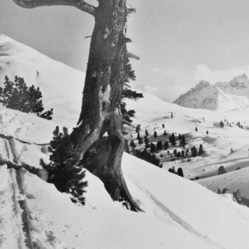Grass Grass, Giuf Plaun mit Piz Daint, 1950s Grass Grass, Giuf Plaun mit Piz Daint, 1950s
