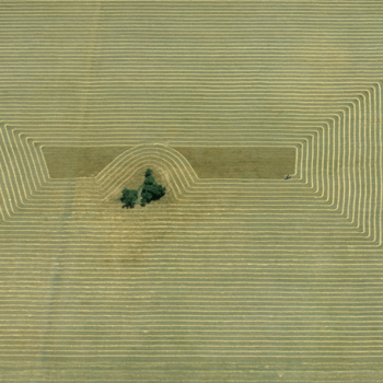 Georg Gerster, Harvest, Argentine, 1967