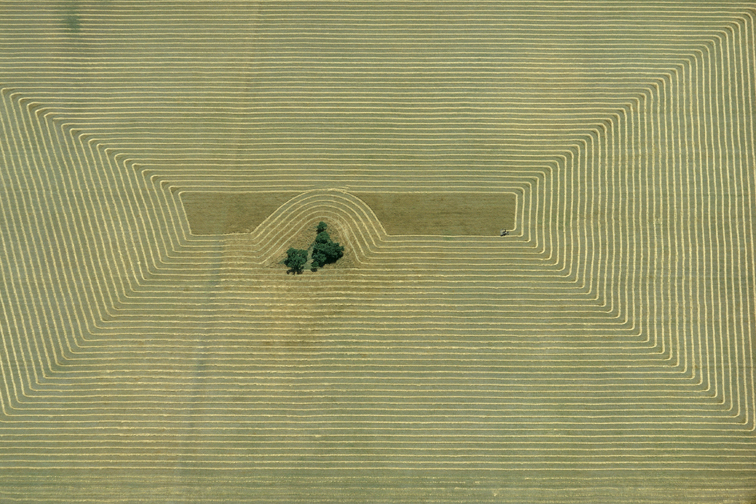 Georg Gerster, Harvest, Argentine, 1967
Inkjet printed with pigmented Epson Ultra Chrome K3, on Epson Exhibition Fiber Paper
100 x 150 cm
Edition of 8 + 2 AP