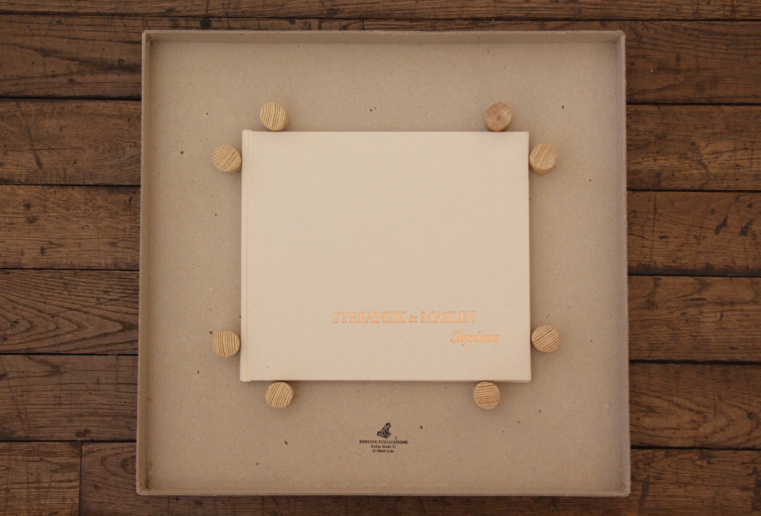 Stepanek & Malin, Skyviews, 2015
Darling Publications
Signed by the artists
Edition 8/9