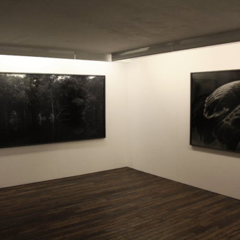 Installation view, Balthasar Burkhard, Fabian & Claude Walter Galerie