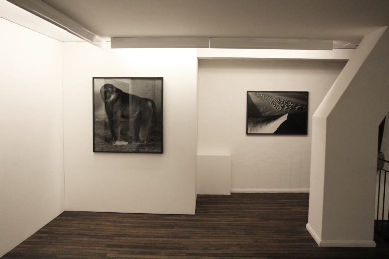 Installation view, Balthasar Burkhard, Fabian & Claude Walter Galerie
