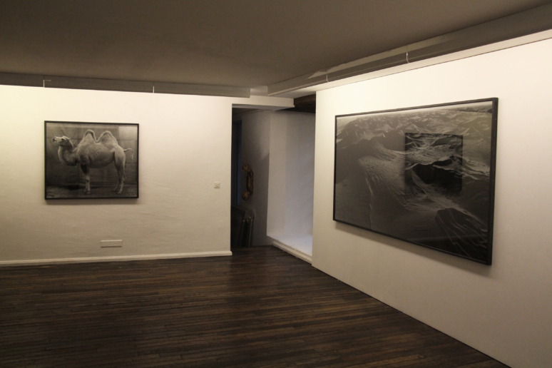 Installation view, Balthasar Burkhard, Fabian & Claude Walter Galerie
