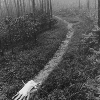 Juan Carlos Alom, Juegos en el Bosque, 1989