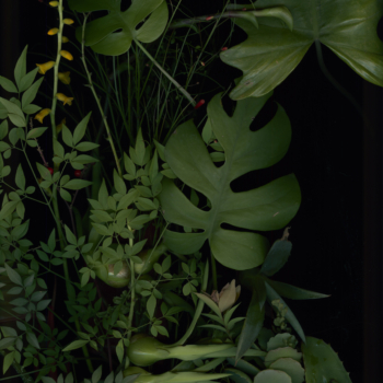Luzia Simons, Jardim 04, 2014
