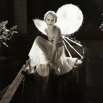 Jock Sturges, Misty Dawn, 1990