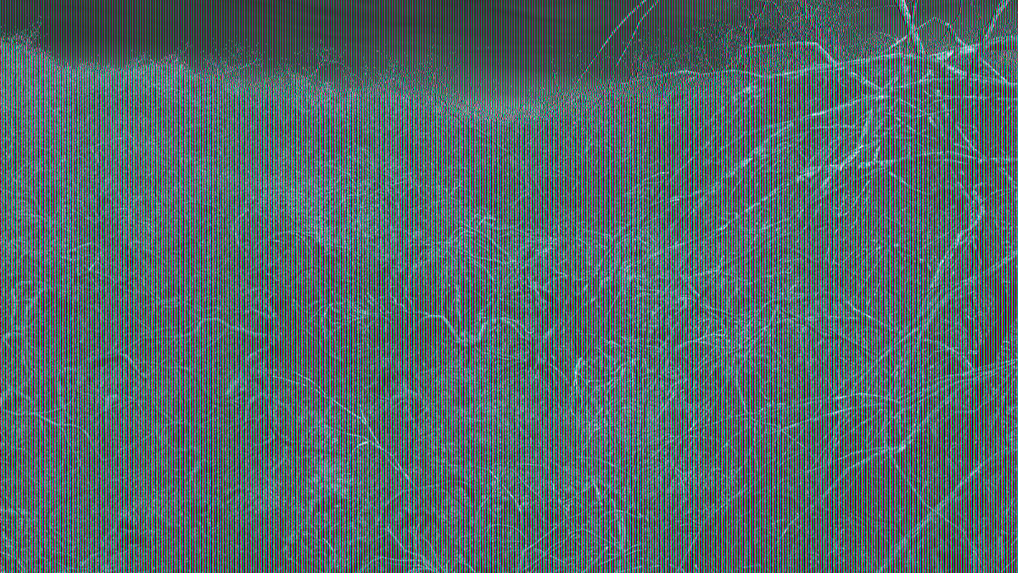 Michel Huelin, Landscape 5, 2014
Lambda Print
90 x 160 cm