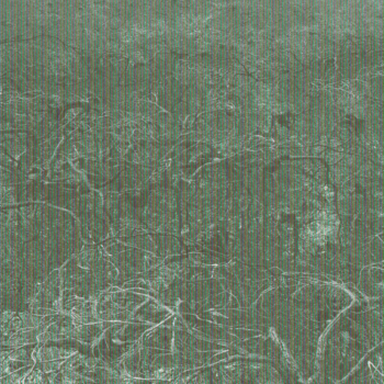 Michel Huelin, Landscape 6, 2014