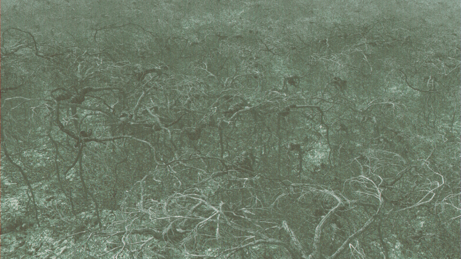 Michel Huelin, Landscape 6, 2014
Lambda Print
90 x 160 cm