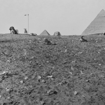 Lee Friedlander, Egypt, 1983 Lee Friedlander, Egypt, 1983