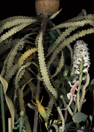 Luzia Simons, Lustgarten 03, 2018
Scannogram, alu-dibond
45 x 32 cm
Edition of 6 + 1 AP