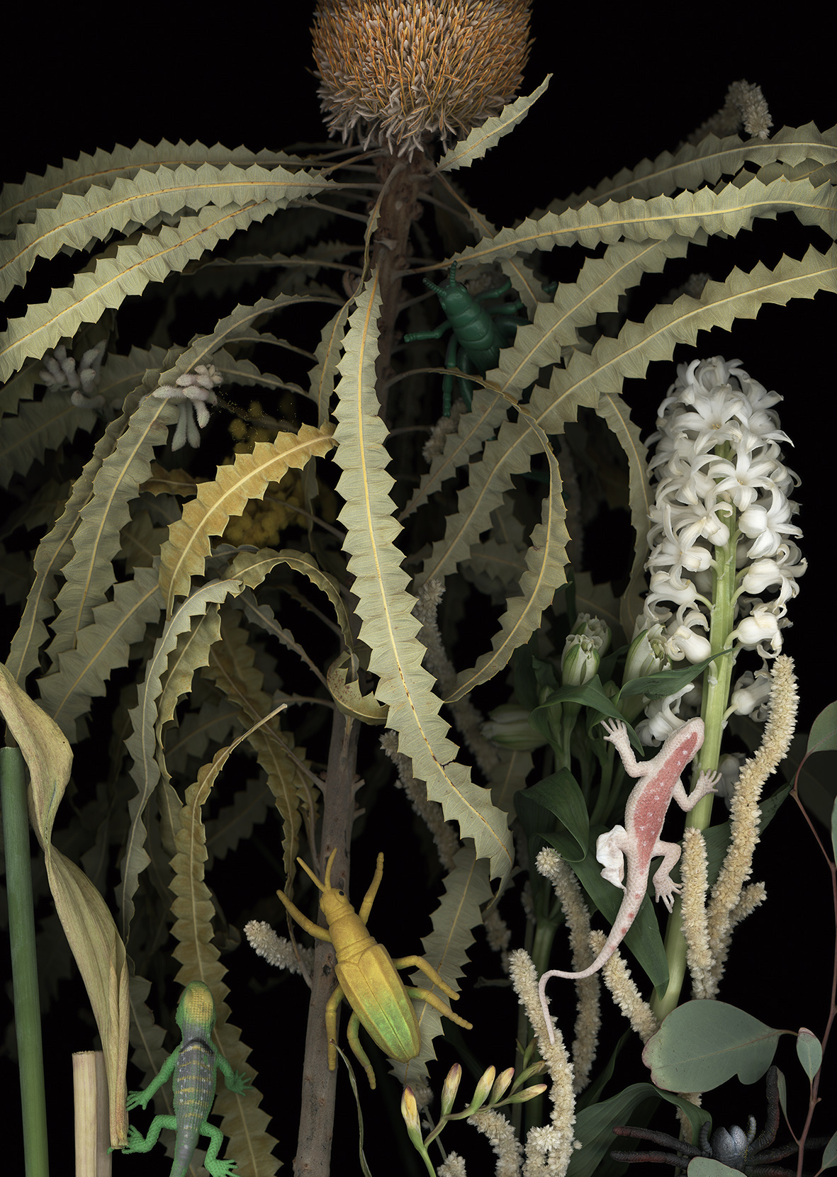 Luzia Simons, Lustgarten 03, 2018
Scannogram, alu-dibond
45 x 32 cm
Edition of 6 + 1 AP