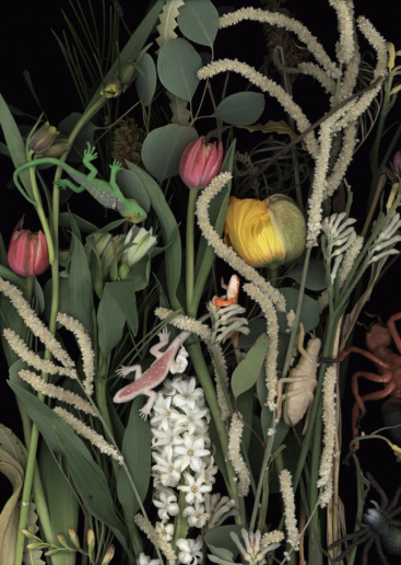 Luzia Simons, Lustgarten 04, 2018
Scannogram, alu-dibond
45 x 32 cm
Edition of 6 + 1 AP
