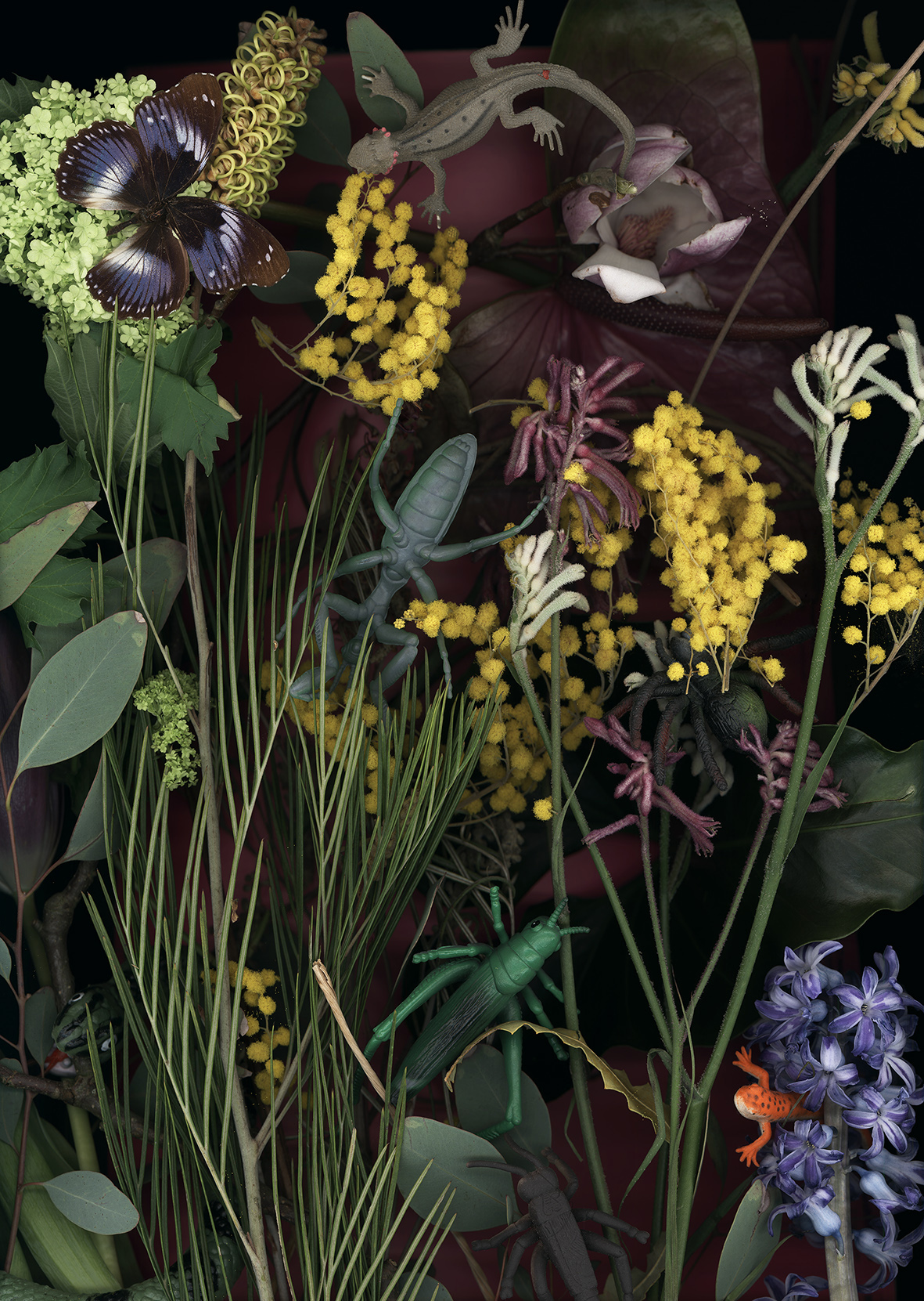 Luzia Simons, Lustgarten 06, 2018
Scannogram, alu-dibond
45 x 32 cm
Edition of 6 + 1 AP
