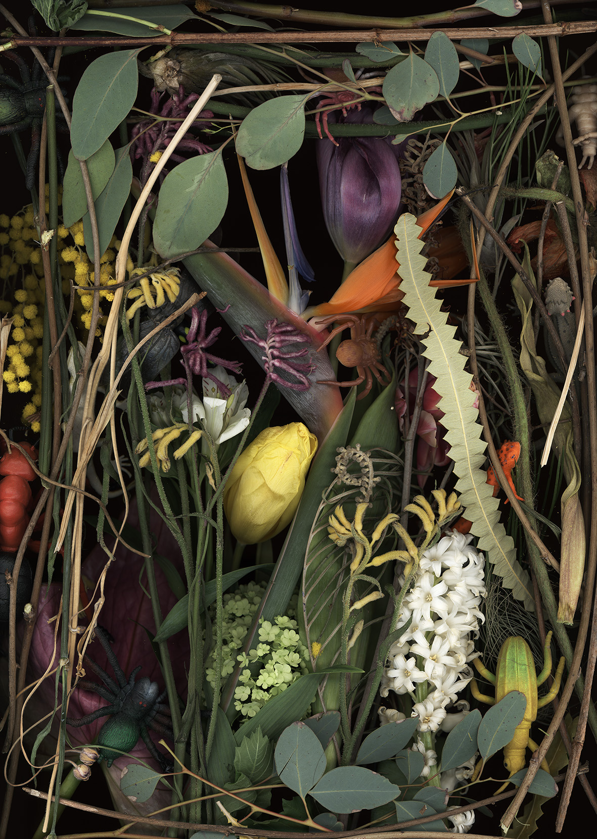 Luzia Simons, Lustgarten 07, 2018
Scannogram, alu-dibond
45 x 32 cm
Edition of 6 + 1 AP