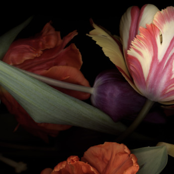 Luzia Simons, Stockage 118, 2011