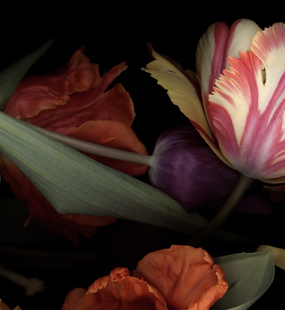 Luzia Simons, Stockage 118, 2011
Lighjet Print on Diasec
40 x 36 cm
Edition of 5 + 1 AP