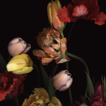 Luzia Simons, Stockage 129, 2011