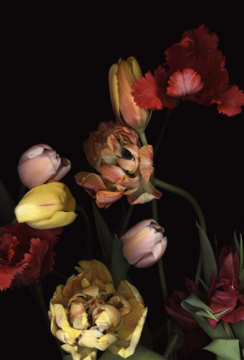 Luzia Simons, Stockage 129, 2011
Inkjet Print on Hahnemuehle Photo Rag
140 x 95 cm
Edition of 6 + 1 AP