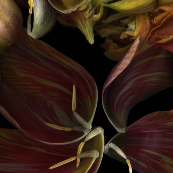 Luzia Simons, Stockage 135, 2006