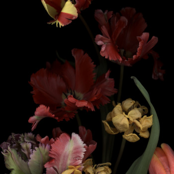 Luzia Simons, Stockage 147, 2014