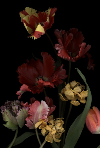 Luzia Simons, Stockage 147, 2014
Fine Art Print
140 x 95 cm
Edition of 6 + 2 AP