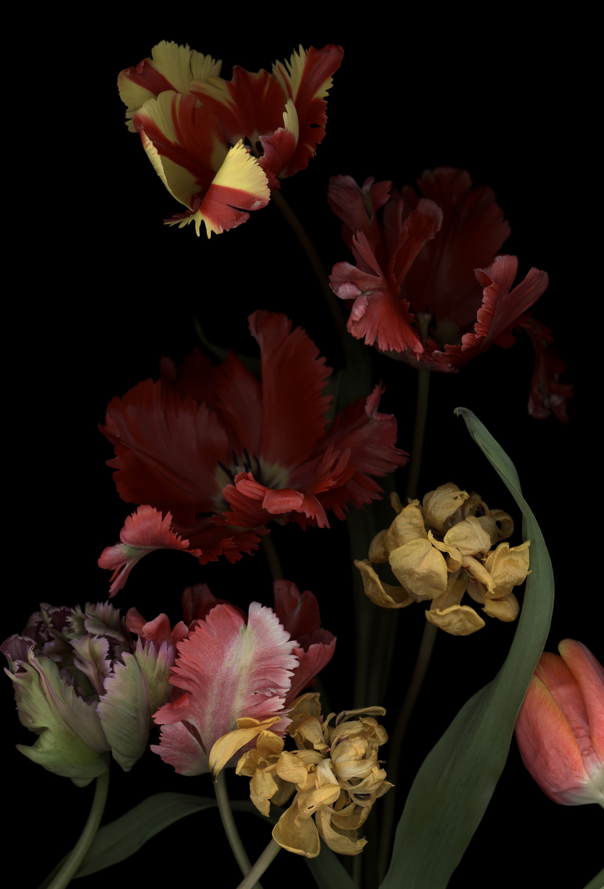 Luzia Simons, Stockage 147, 2014
Fine Art Print
140 x 95 cm
Edition of 6 + 2 AP