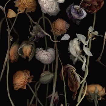 Luzia Simons, Stockage 182, 2019